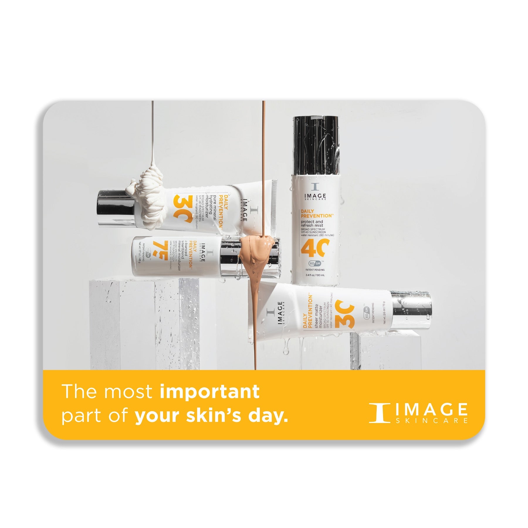 Window Cling DAILY PREVENTION single unit